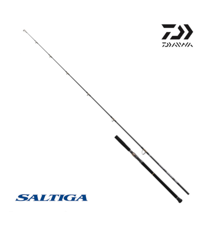 Въдица DAIWA 26 SALTIGA C BULLSWING 85-6 2,57m max 130g PE6