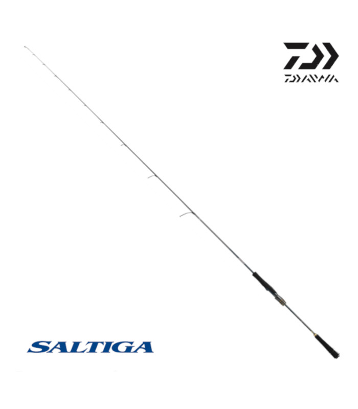 Въдица DAIWA 26 SALTIGA SLJ EX 65MS-SMT 1,96m 20 - 100g PE0.4-1.0