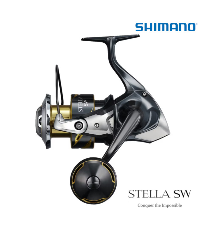 SHIMANO 26 STELLA SW D 6000PG