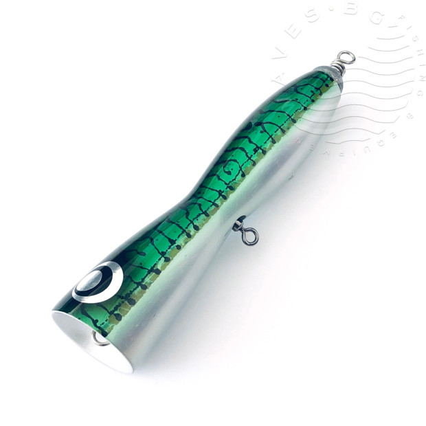 TEMPLE REEF BALLISTA BULL 140g