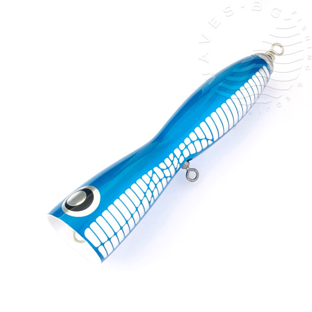 TEMPLE REEF BALLISTA BULL 140g