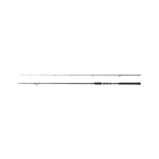 SHIMANO SALTY ADVANCE SHORE JIGGING 100MH