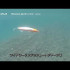 SHIMANO OCEA SHOOT JERK 125SP 25g JET BOOST