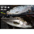Спининг RIPPLE FISHER SILVER STREAM 810 FLOWS NANO TZ