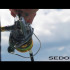 SHIMANO SEDONA 2500 S FI