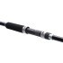 SHIMANO SALTY ADVANCE SHORE JIGGING 100MH