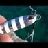 DUO DRAG METAL CAST 15g