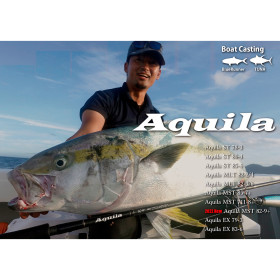 RIPPLE FISHER AQUILA EX 79-3