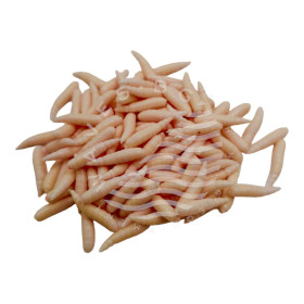 MAGGOT 16 - Natural