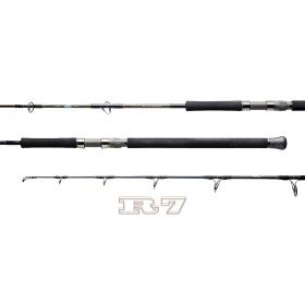 TEMPLE REEF R JIGGER R7S