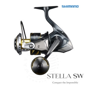SHIMANO 25 STELLA SW 8000PG D