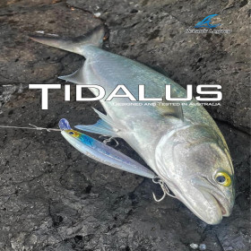 OCEAN'S LEGACY TIDALUS MINNOW 92mm 16g